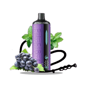 Elf Bar E-Shisha 120000 Grape Mint