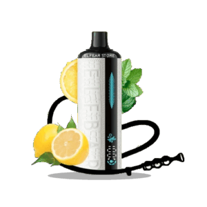 Elf Bar E-Shisha 120000 Lemon Mint