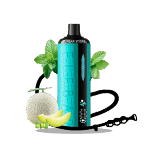 Elf Bar E-Shisha 120000 Melon Mint